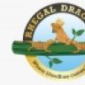 Rhegaldragons