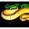 DandKReptiles