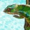 BrightsideExotics777