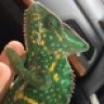 Rango25530