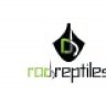 RAD_Reptiles