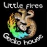 Littlefiresgeckohouse