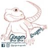 Gingerdragons