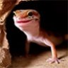 hobbestheleo