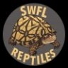 Swfl Reptiles