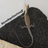 ReyesReptilesandStuff