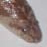 meretseger