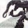 dragonflame
