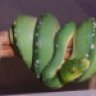chondroqueen