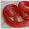 atheris978