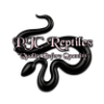 PJCReptiles