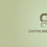 csreptiles