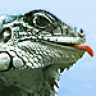 Reptayls