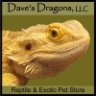Daves_Dragons