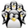 Tuxus