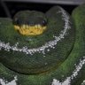 CMB Reptiles