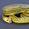 newshedserpents