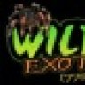 wildsideexotic