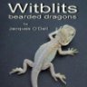 witblits