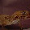 herpspaz