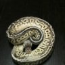 TheReptileTribe