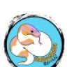 Stubby Chubby Reptiles