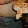 Destiny Reptiles