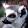 Lemur_6