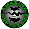 amazingreptiles4u