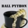 Ball Python Cafe
