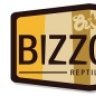 jasbiz31