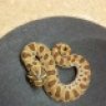 Celtic_Reptiles