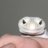 SilverStateExotics