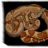 Summit Reptiles