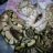 Hognosewild