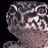 GeckoNotGeiko