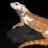 TheReptiKid17