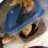 andrew_snake_sale