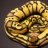 Steves Serpents