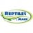 Reptiles By Mack