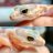 Hellfire Exotics