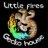 Littlefiresgeckohouse