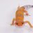 Qualitygeckos