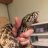 jkmreptiles