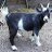 Epona142