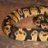 Chico Reptiles