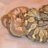 statecollegeherps