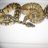 didac_02