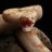 Muscle Morph Constrictors