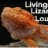 Livingston Lizard Lounge